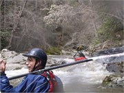 Spring Creek 7